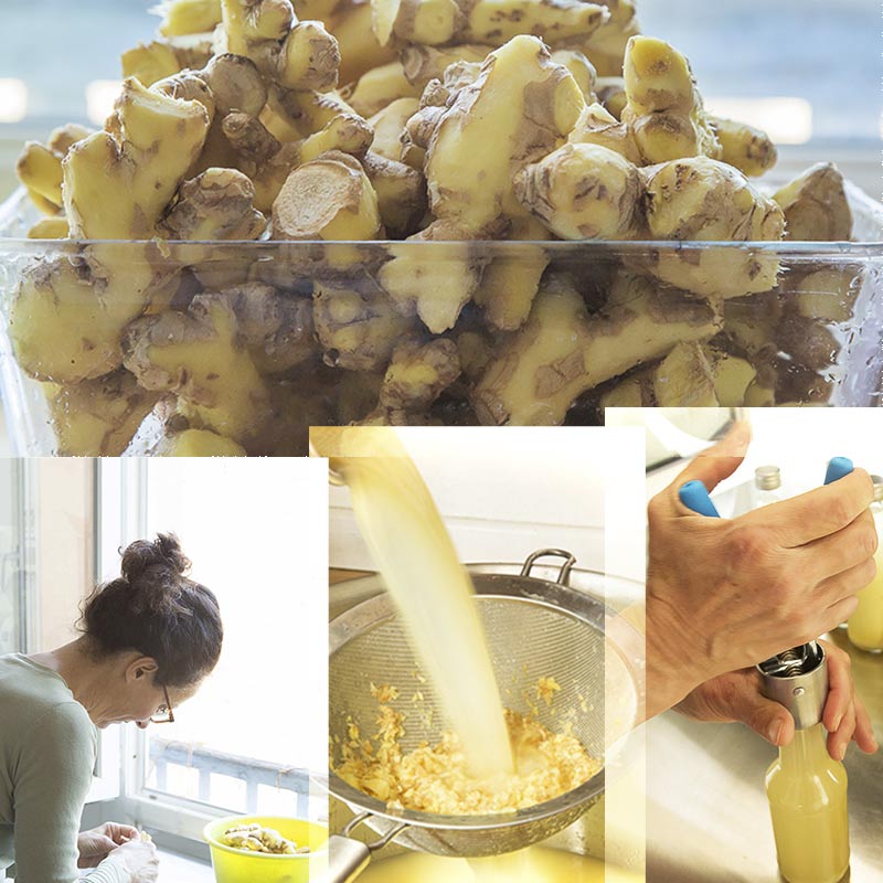 Boisson au gingembre bio artisanale